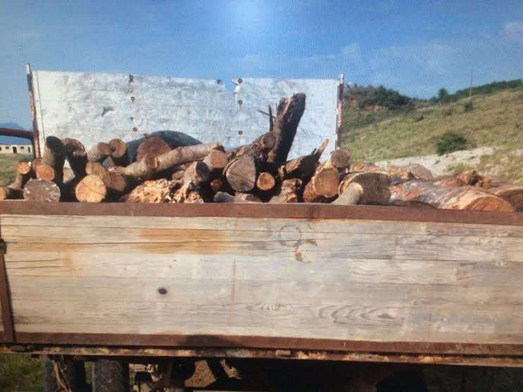 Kontrabandonte dru, gjilanasi i ikën policisë, shkon në Serbi