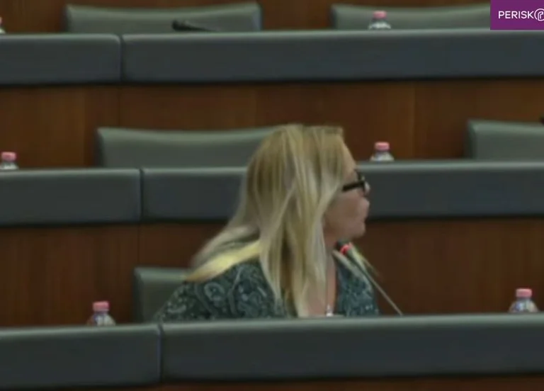 ‘Çka keni, po unë ty të veti çka me fol a?’, Time Kadrijaj u bërtet deputetëve të VV’së që i ndërhynë