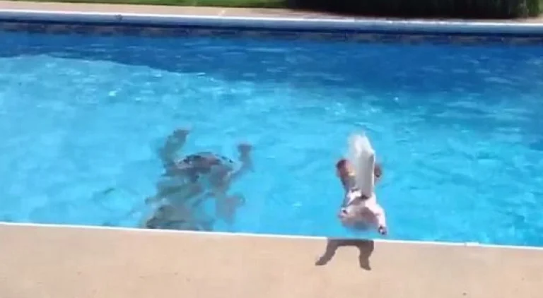 Una tredicenne annega in una piscina a Gjakova