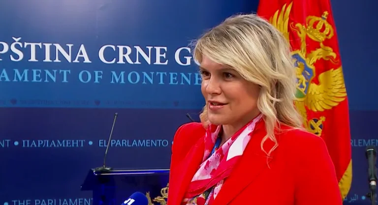 “I want to be Serbia's servant”: Montenegrin MP mistreated by Serbian police at Belgrade airport
