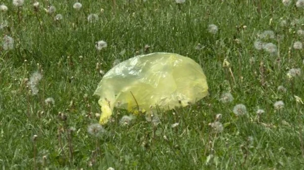 La Germania vieta la vendita di prodotti di plastica monouso