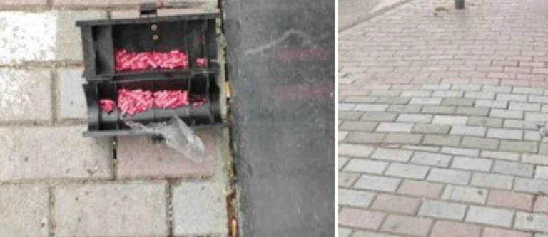 Les marchés créent du poison pour enlever les rongeurs, les citoyens : Vous risquez vos enfants.