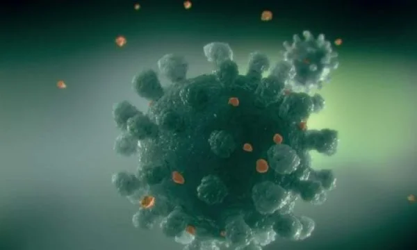 EMA: qui a reçu 2 doses de vaccin, protégé par Delta