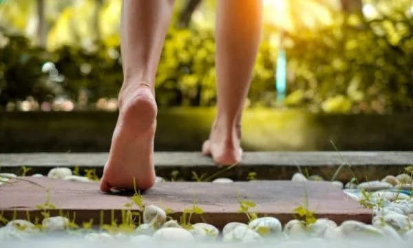 El efecto en nuestra salud