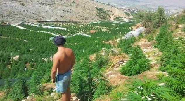 ‘Lazarati i kanabisit’ do të rikthehet në fshat turistik
