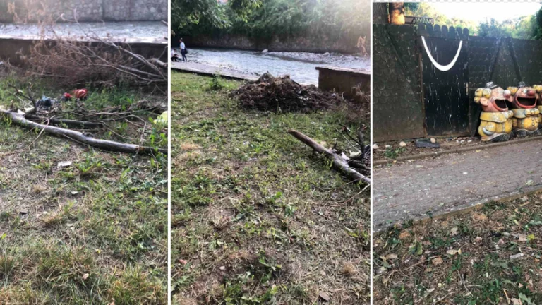 ‘Qytetarët s’po kanë ku t’i kalojnë ditët e nxehta’, kritikohet Haskuka për degradim të gjelbërimit në Prizren