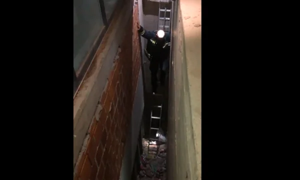 Toujours enfermé entre deux murs, les pompiers sauvent le chat à Pristina
