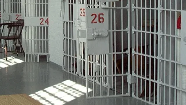 Dead in prison, antivirus billionaire