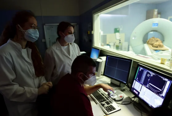 L'hôpital italien utilise CT pour révéler les secrets zombie égyptiens