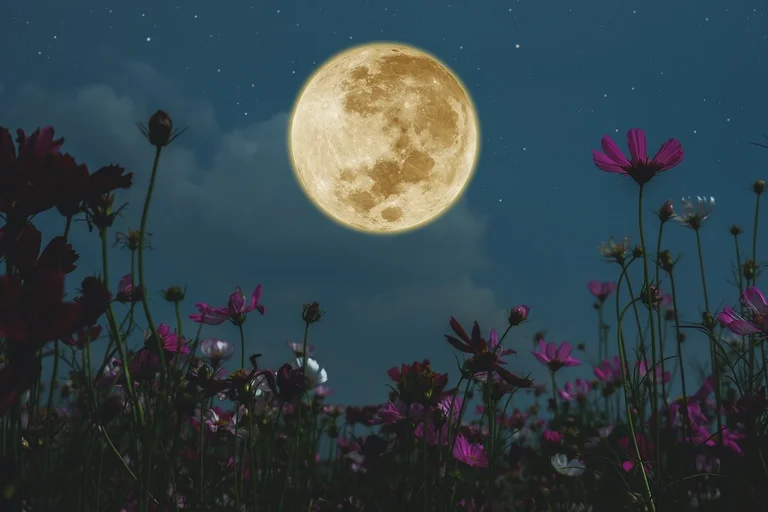 Dies sind die vier Zeichen, die am 24. Juni am meisten vom Vollmond beeinflusst werden.