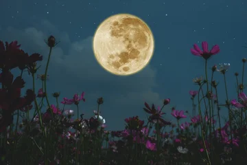 These are the four signs that will be most influenced by the full moon on June 24th.