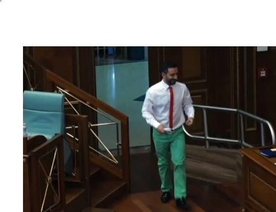 VV) MP dressed in the colors of Italy's flag, absed to impress Minister Di Maio