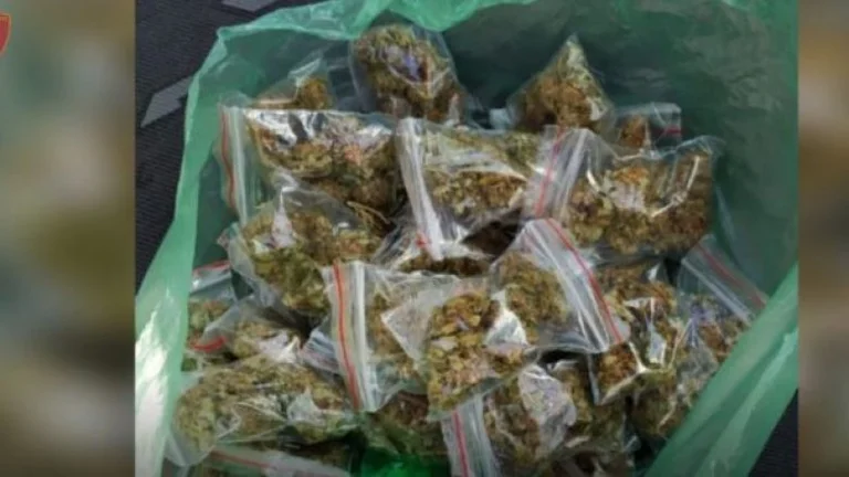Kapen afro një kilogram marihuanë në Prishtinë, arrestohen dy persona
