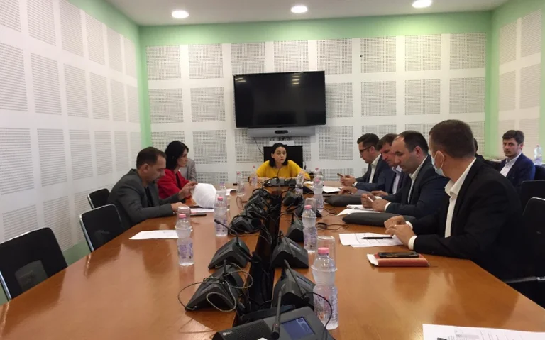 Zbatimi i ligjeve: Deputetët formojnë grupet punuese