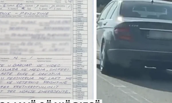Shteti zëvendëson policët me qytetarë