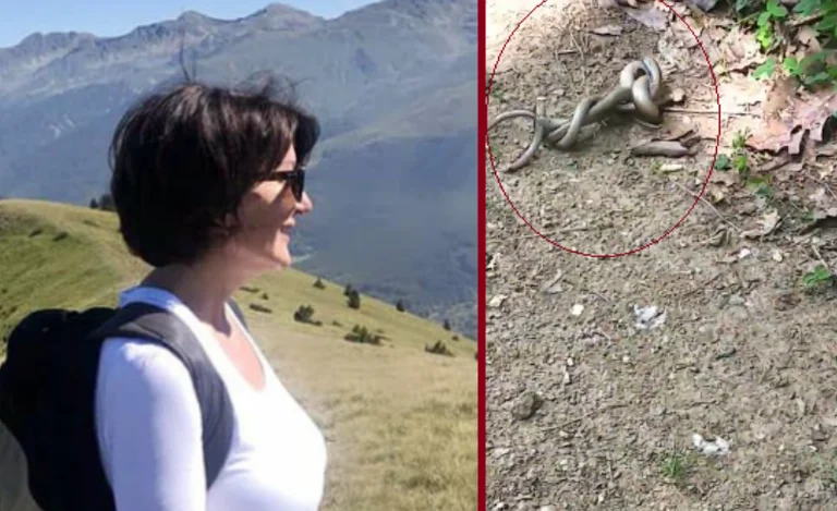 L'ex presidente Jahjaga affronta i serpenti nel parco di Germ