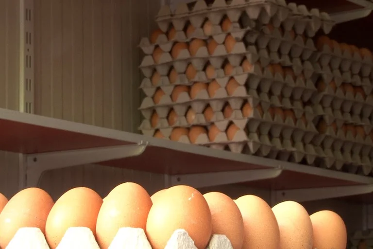 72 mil huevos indocumentados sin documentación fronteriza