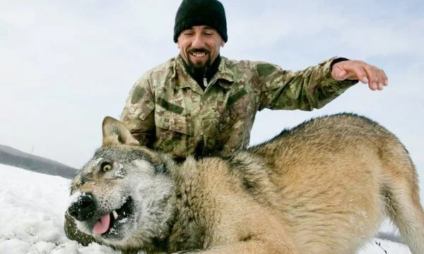 El Kosovo que vive con lobos es golpeado por parientes: Dice que lo hicieron por celos.