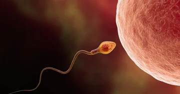 7 widely believed facts about sperm, which are actually wrong.