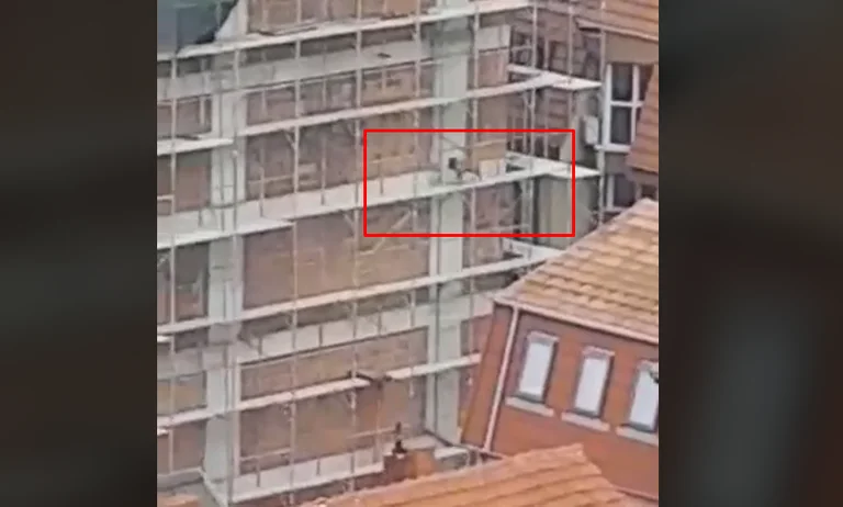 HELP: Der Hund wandert in den Windfall (Video)