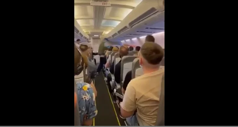 Battre entre l'ami du marié dans l'avion venant avec des exilés au Kosovo (Vidéo)