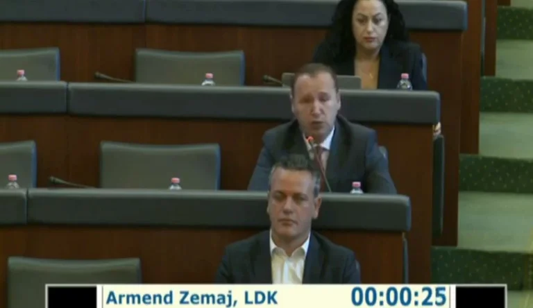 Herz: Die Position erlaubt keine Opposition im Parlament zu sprechen