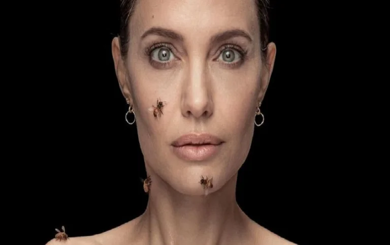 Angeline Jolie präsentiert mit einer Reihe von Bienen: “Ich hatte keine Dusche für 3 Tage”