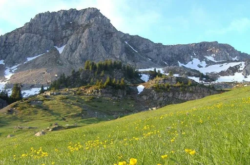 Kosovo's entry and exit denied, climbers write letters to Osman, Kurti and Svechla