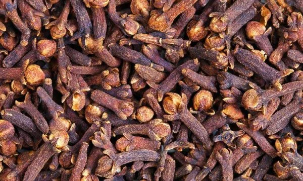 10 Le spezie più efficaci per rimuovere la zanzara