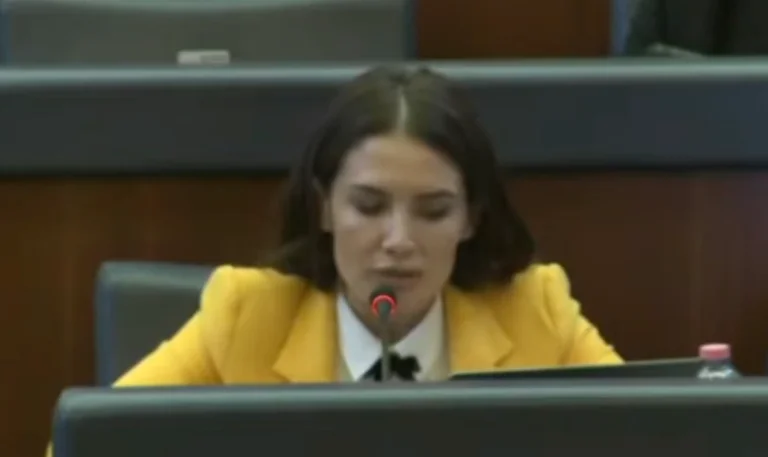 Ariana Musliu Shoshi zum Download von Botschaftern: Es soll politische Wut sein.