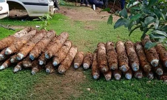 Es war im Garten, als es 101 unbebrokene Bomber des Zweiten Weltkriegs gefunden hat