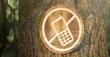 Fingerprints: How do you do it in seven days?