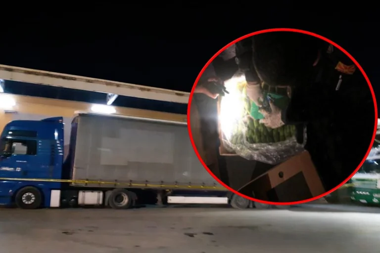 Prescripción de 2.2 toneladas de cocaína: Esta es la empresa tepiense que hizo el transporte.