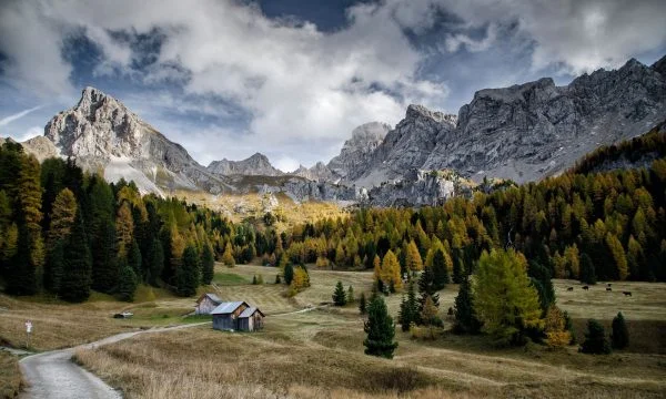 Öffnen Sie die Ohren von Takman Jasharaj: Swiss Village sucht Lehrer, bietet ein Auto Home