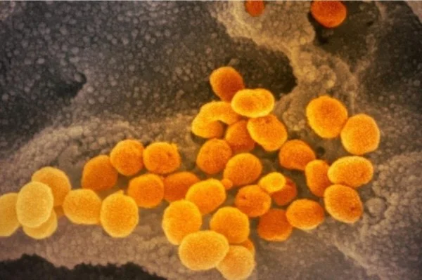 Anthony Faucie: Se siamo vaccinati, non hai bisogno di maschere in ambienti aperti.