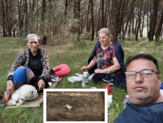 Détails: Ce sont les champignons toxiques dont les trois Kosovars seraient morts à Lalz Bay.