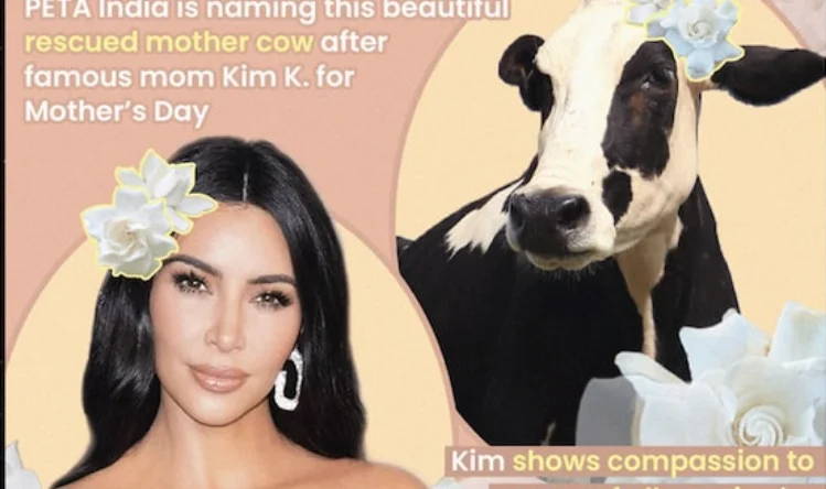 India onora il commento più popolare: Lascia la mucca il nome Kim Kardashian