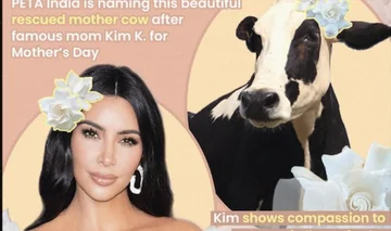 Inde honore le commentaire le plus populaire: Laissez la vache le nom Kim Kardashian
