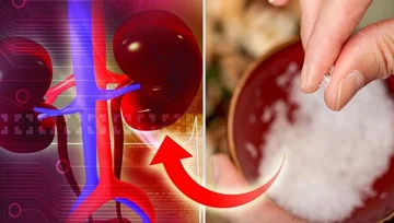 You do them every day, but do you know that these three actions seriously damage your kidneys?