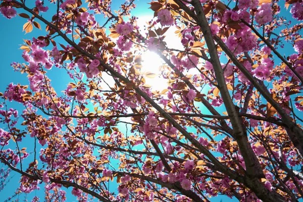 Hoy y mañana soleado tiempo