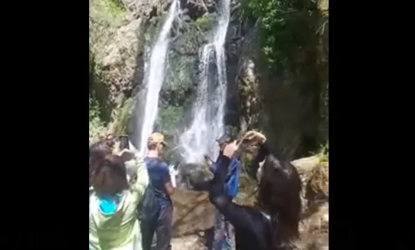 Il gruppo di Kosovars che cammina nella zona di Zubin Potok è annunciato: Siamo a posto.