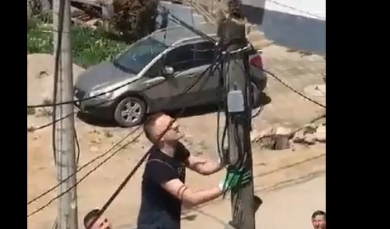 Zjarrfikësit e Kosovës shpëtojnë macen e mbetur në shtyllë