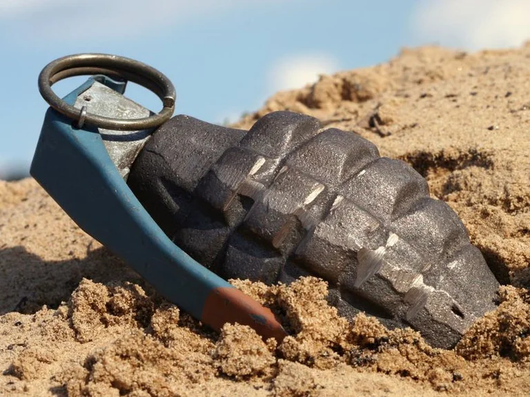 Police are alarmed at putting a grenade in the woods, but it was just a sexy toy.