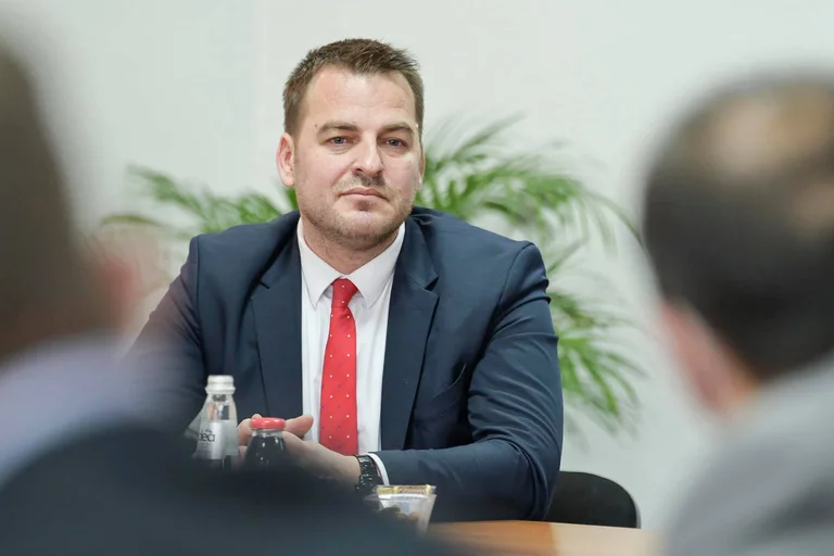 Mitrovica-Abgeordnete Muja stimmte für die Stromzahlung für Nord Serben, was sie vor einer Woche sagte.