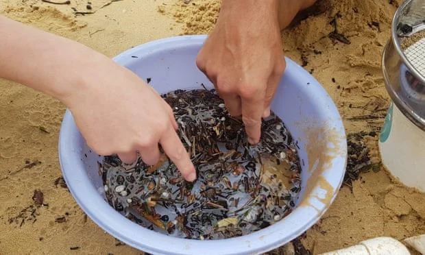 Lulu Raka's colleagues find ways to remove the pollution of bacterial microplastics