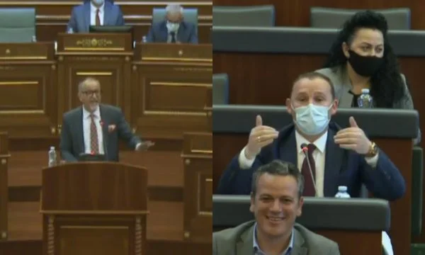 Année et Zemaj se sont écrasés dans l'Assemblée pour pandémie
