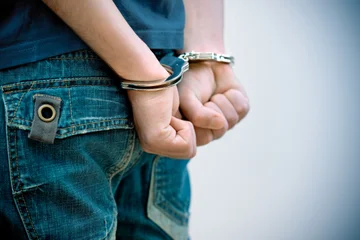Le citoyen qui a été condamné pour pourquoi le pet dit qu'il est “liberté d'expression”
