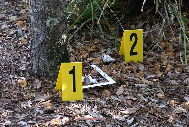 Until yesterday, they've got together, what happened between neighbors in Drenas who ended up killing in the woods.