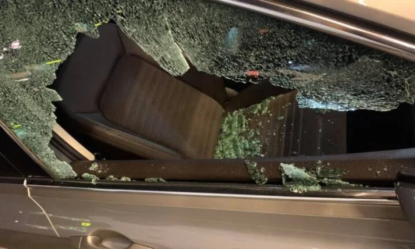 La lypie a volé les lettres de l'Allemagne et beaucoup d'argent dans sa voiture.