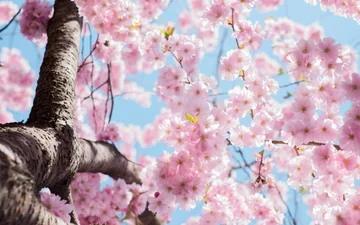 5 modi in cui la primavera influisce sulla vostra salute